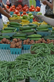 Market at Ag Heritage Park 2010
